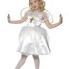 Star Fairy Costume