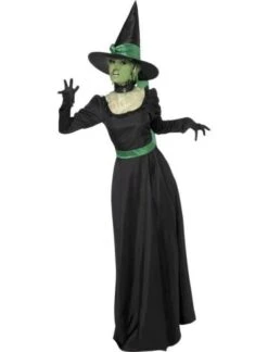 Witch Costume