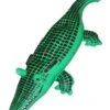 Crocodile