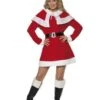 Miss Santa Fleece Costume