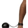 Convicts Ball And Chain