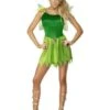 Woodland Fairy Costume