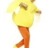 Duck Costume, With Bodysuit, Trousers