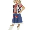 Cowgirl Sweetie Costume