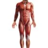 Anatomy Man Costume